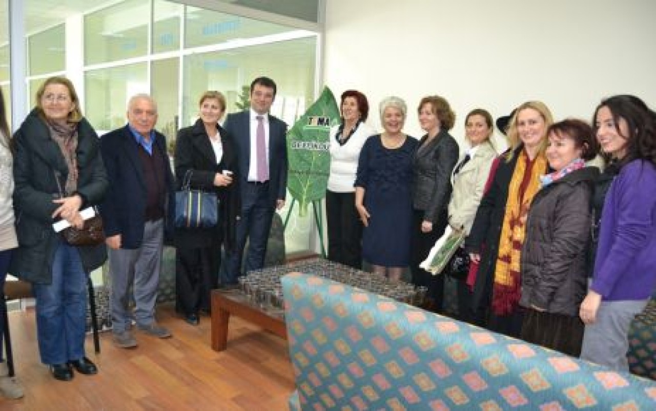 Bina değil ağaç artmalı