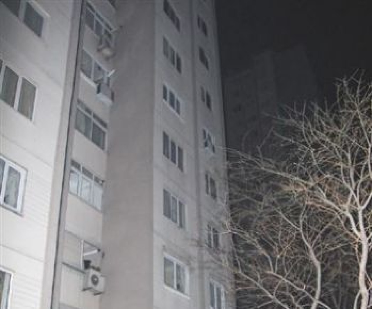 17'inci Kattan Ölüme Atladı