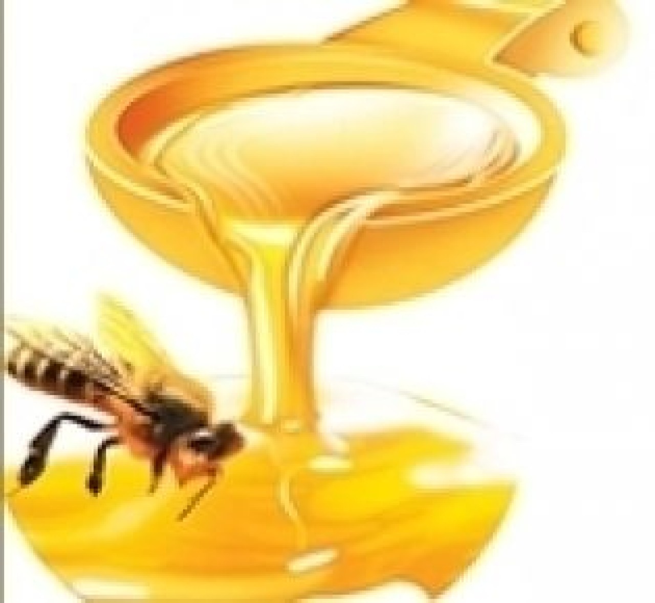 Arıcılık ve Arı Ürünleri Festivali başlıyor