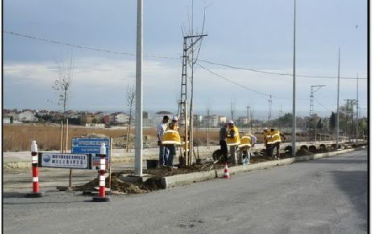 Büyükçekmece de ağaç dikimi devam ediyor…