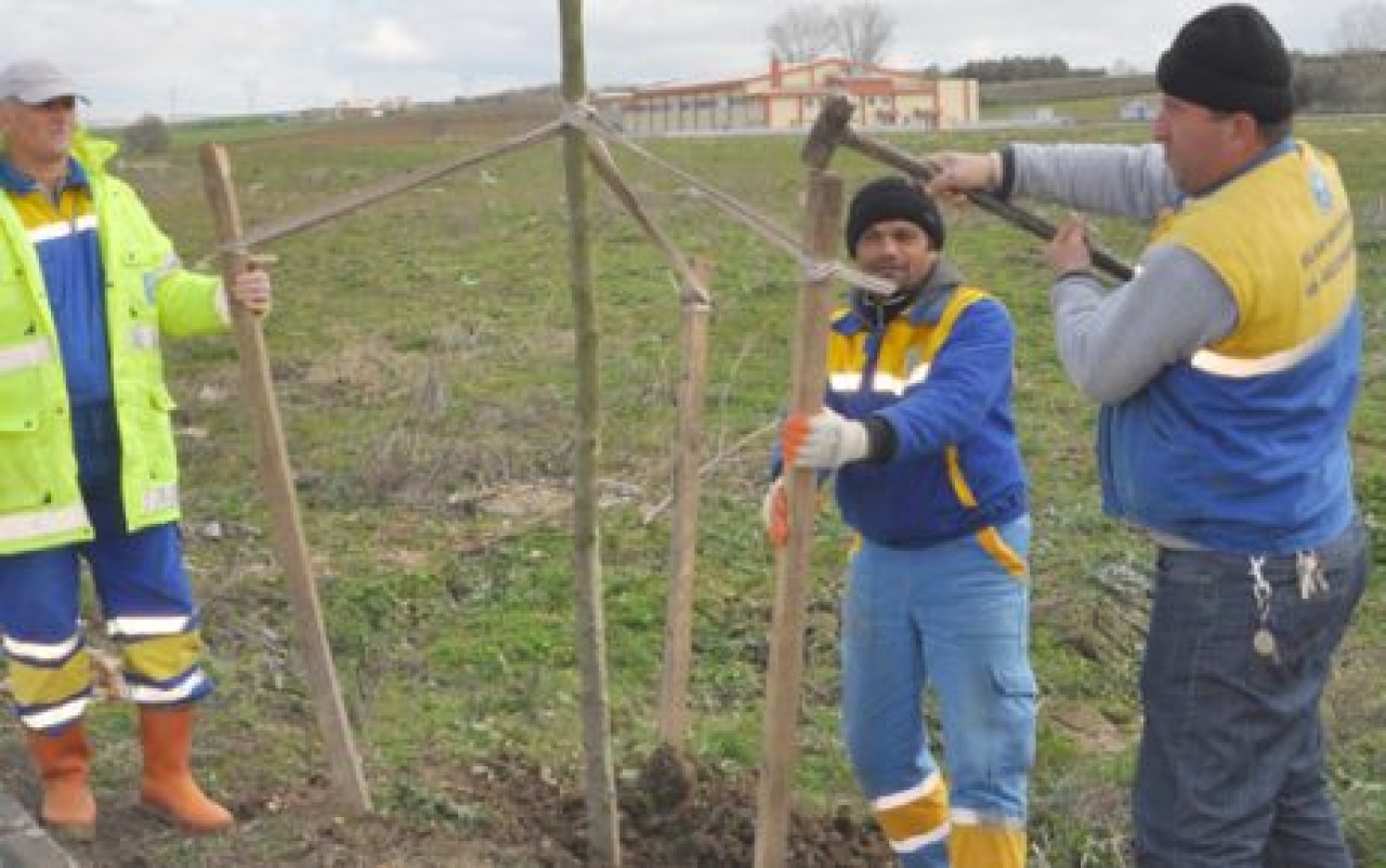 DAHA YEŞİL BİR SİLİVRİ İÇİN ÇALIŞMALAR HIZ KAZANDI