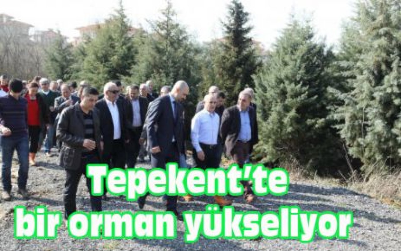 Tepekent’te bir orman yükseliyor