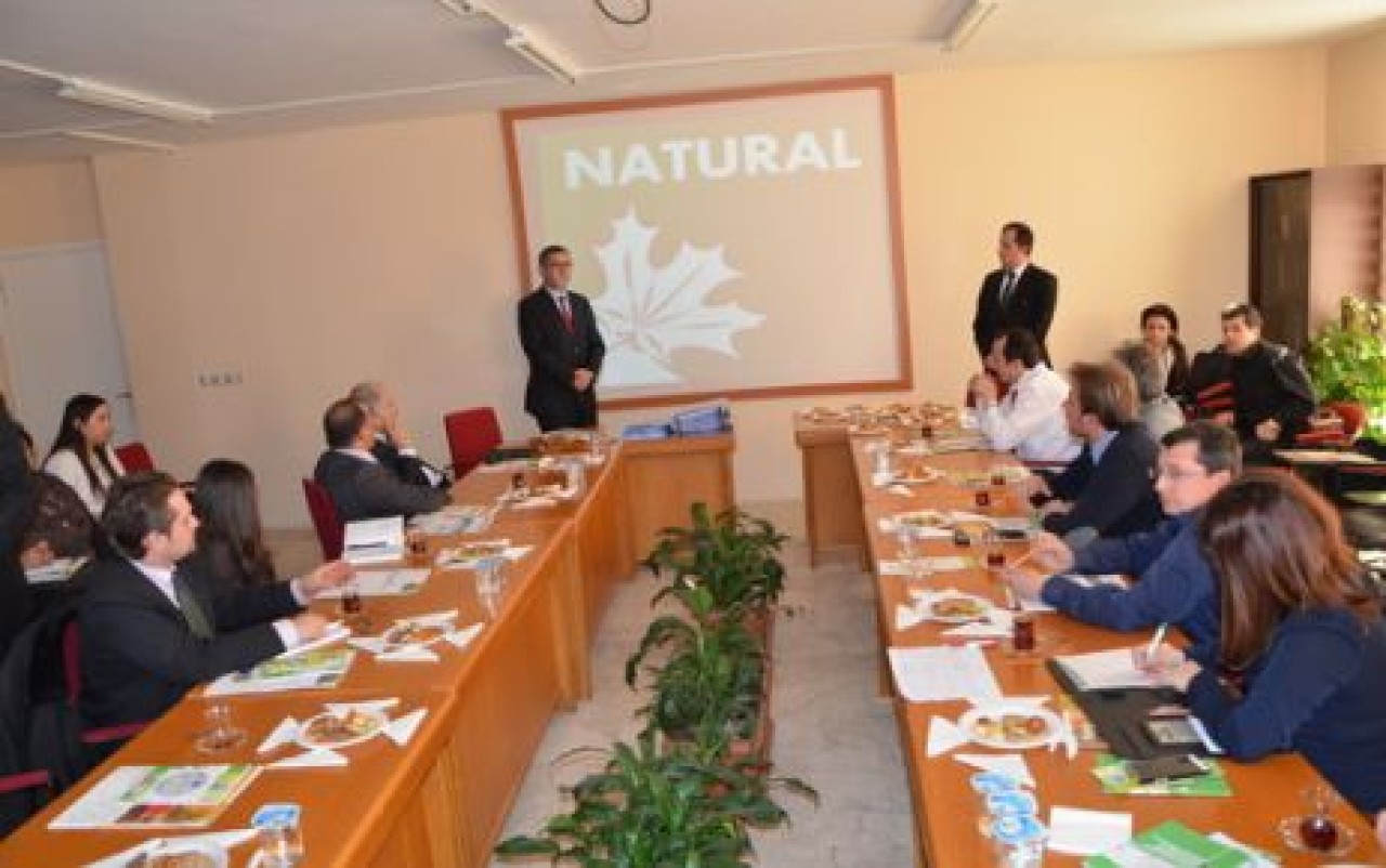 Örnek proje devam ediyor