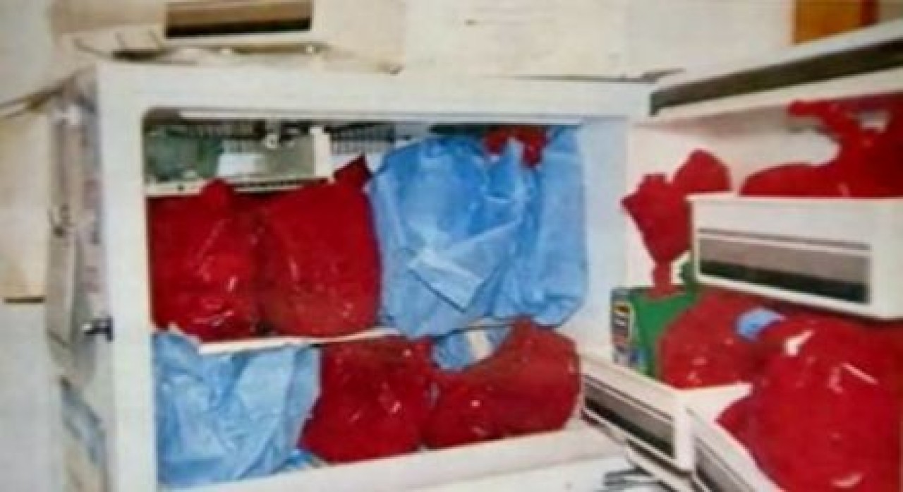 Derin Dondurucuda 3 Bebek Cesedi