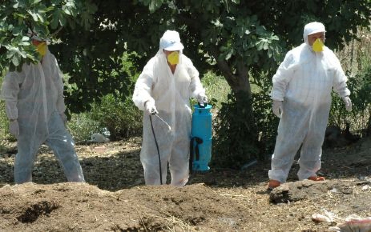 Önce yıktılar sonra dezenfekte ettiler