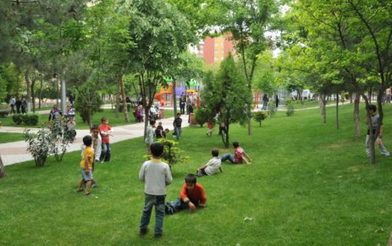 Beylikdüzü’ne 4 yılda 52 bin fidan dikildi