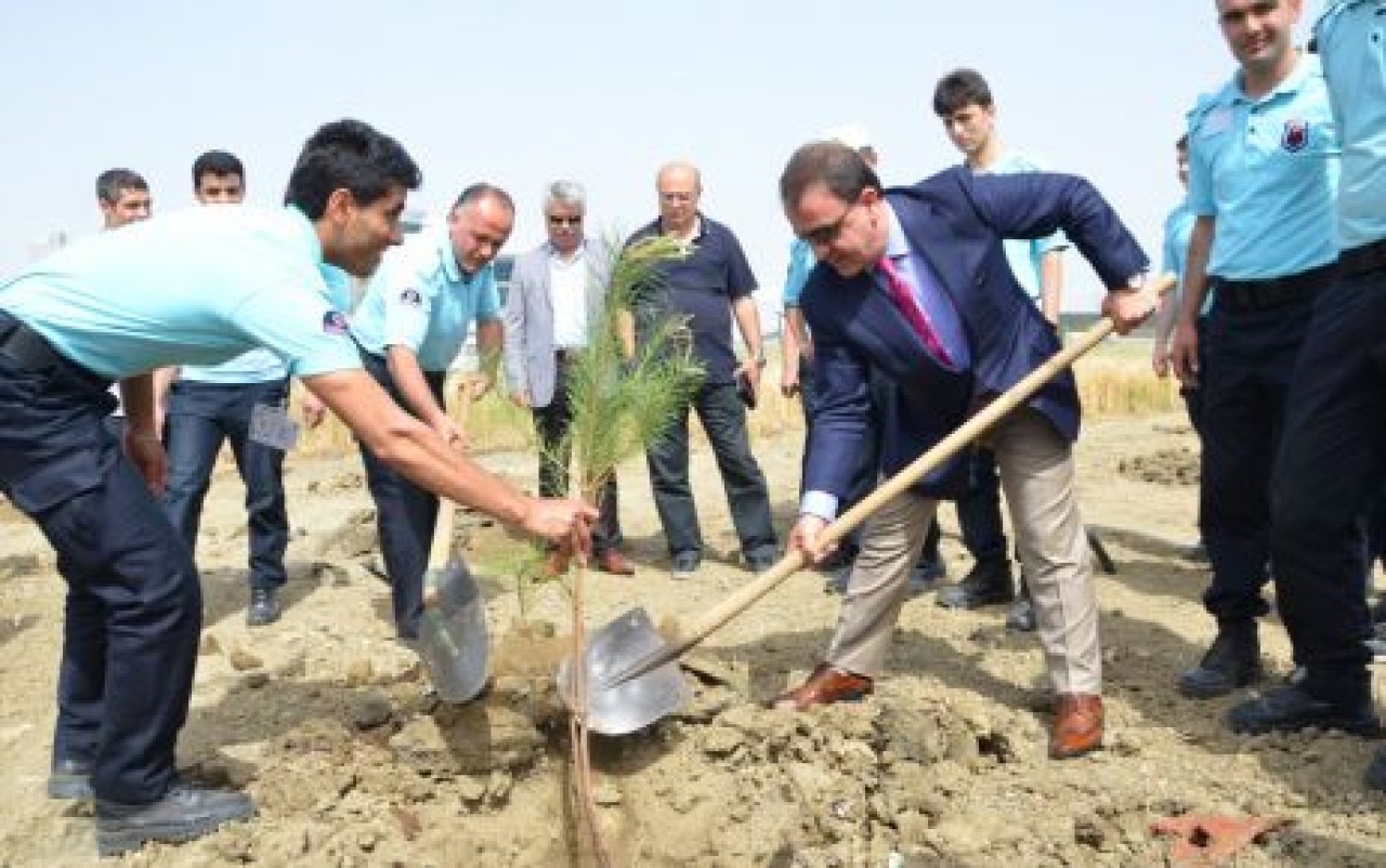 220 çam fidanı toprakla buluştu