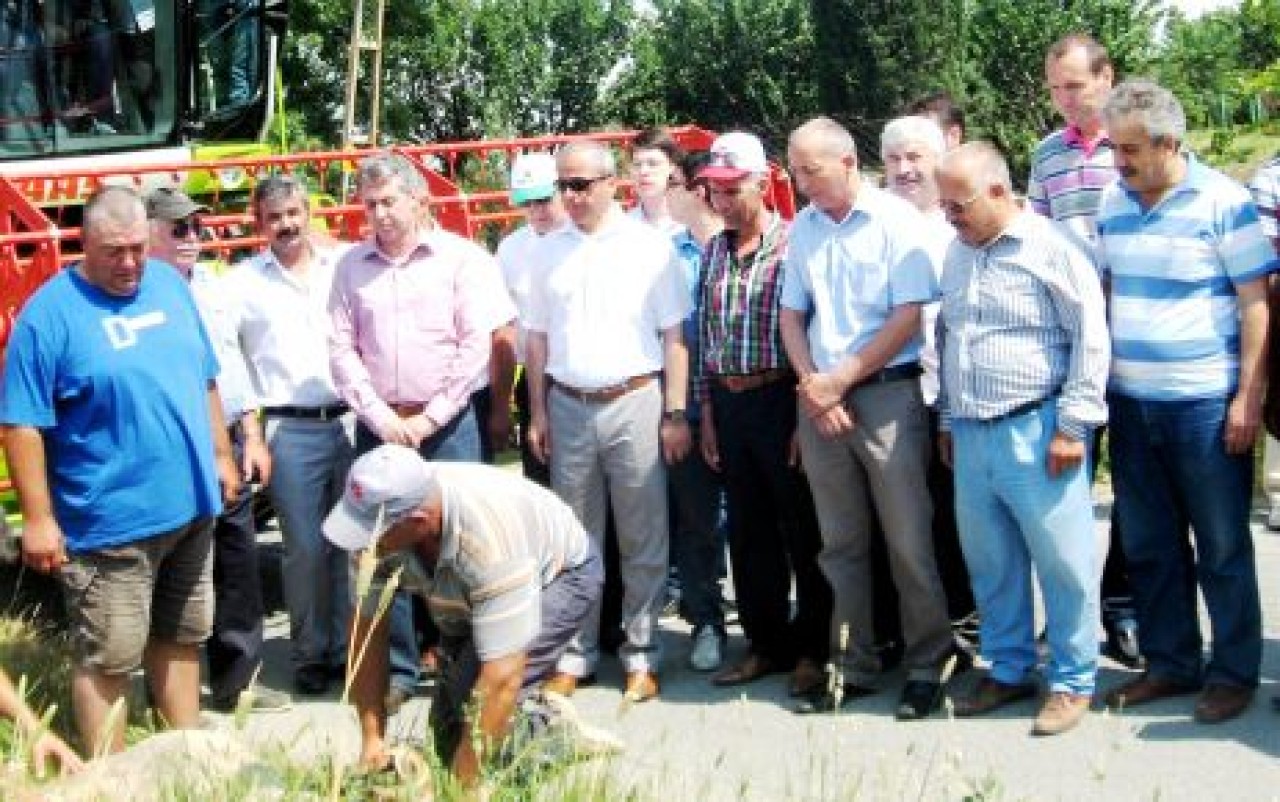Büyükçekmece'de hasat sezonu açıldı