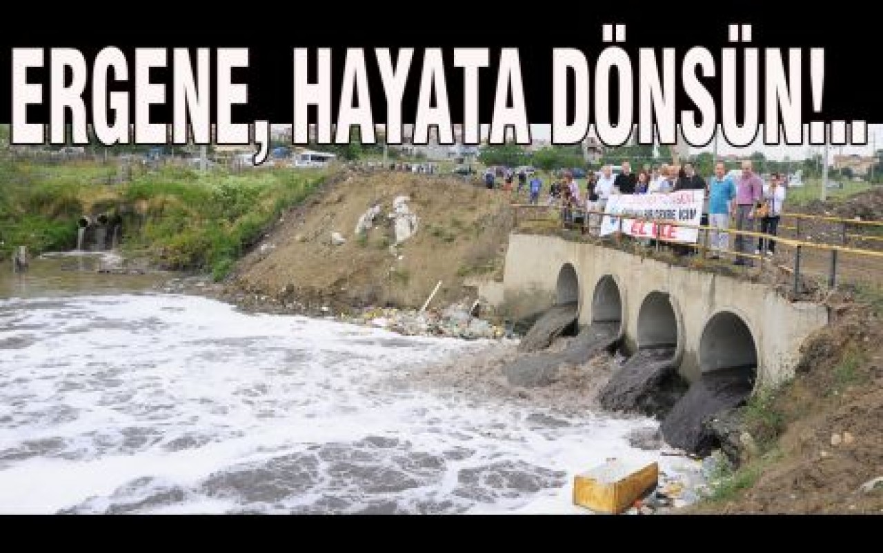 ERGENE, HAYATA DÖNSÜN!..