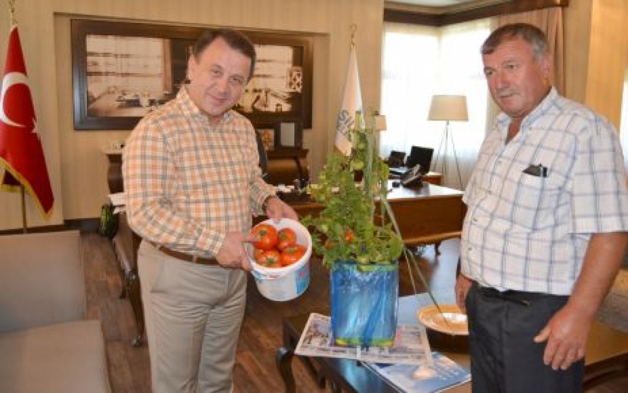 Sezonun ilk domatesi üretildi