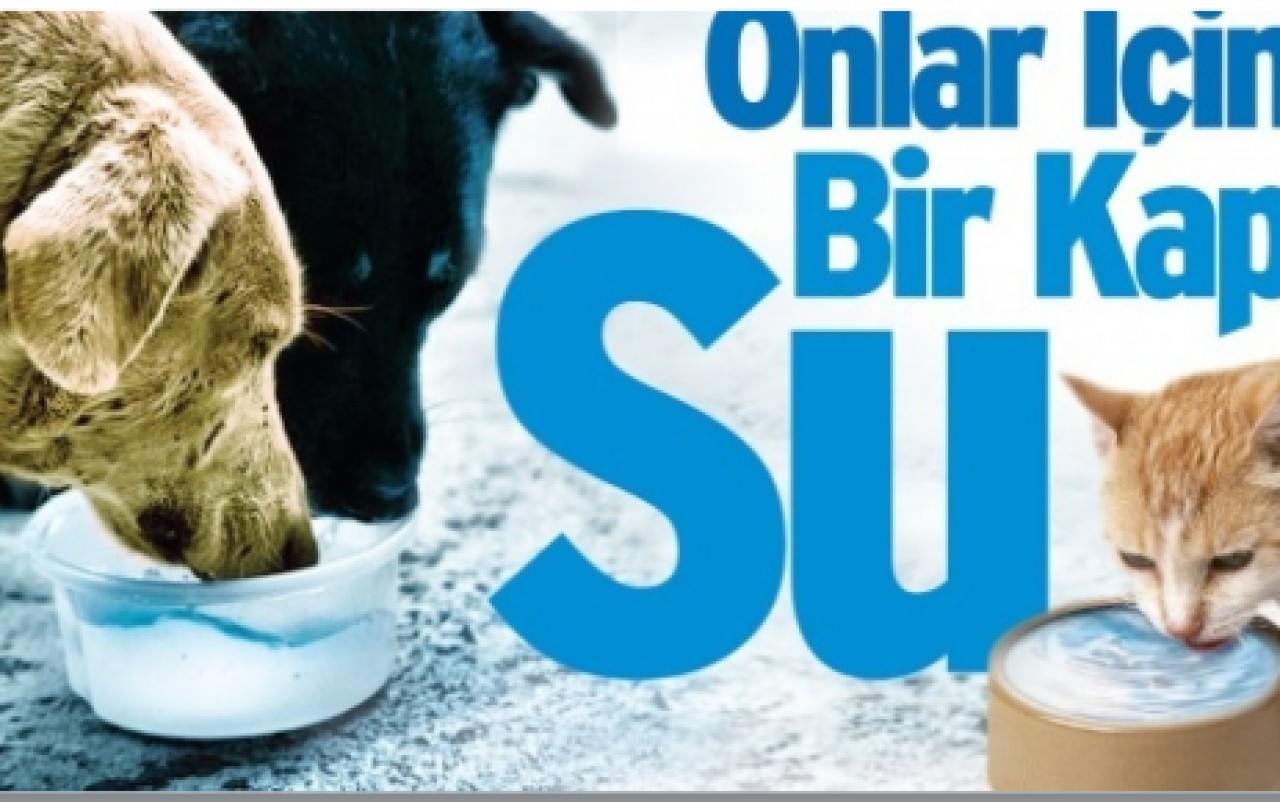 ŞEHRİN SOKAKLARINDA TEK BAŞINA