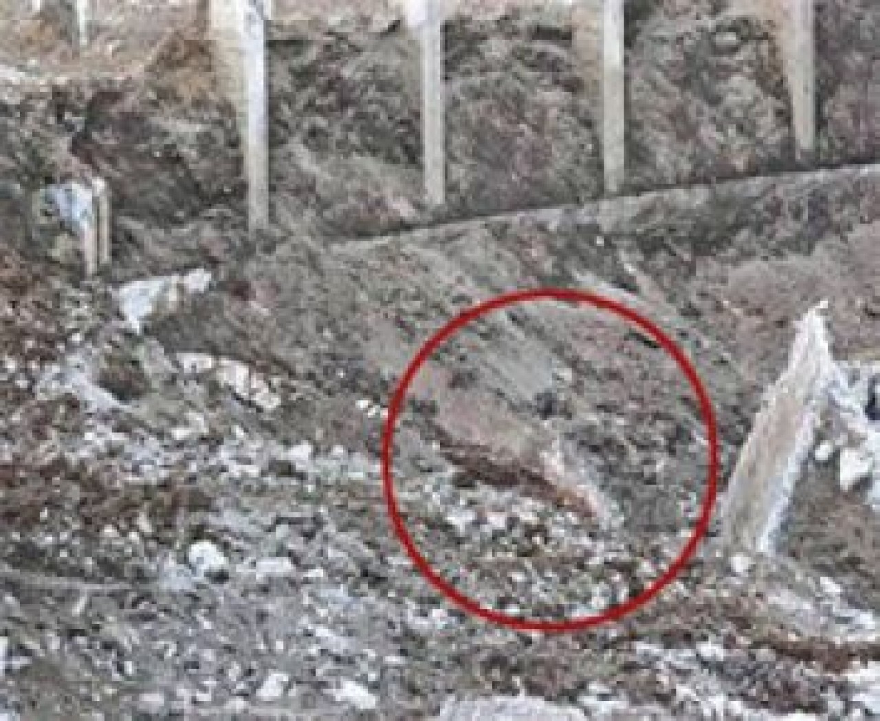 İnönü Stadı'nda sıcak saatler