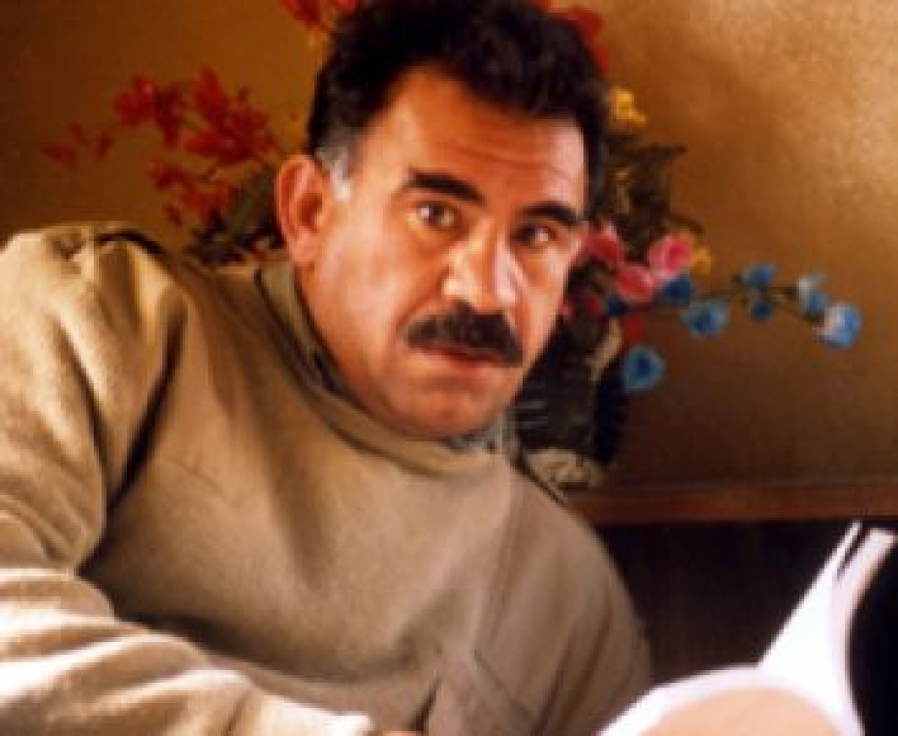 Öcalan: 'Elimi çeker otururum'