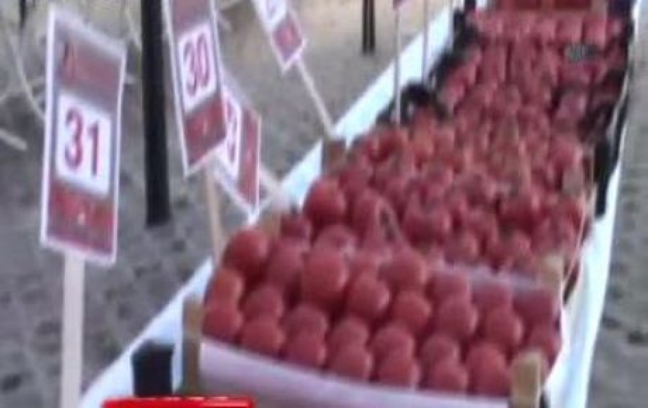 Silivri'de Domates Festivalinde Olay