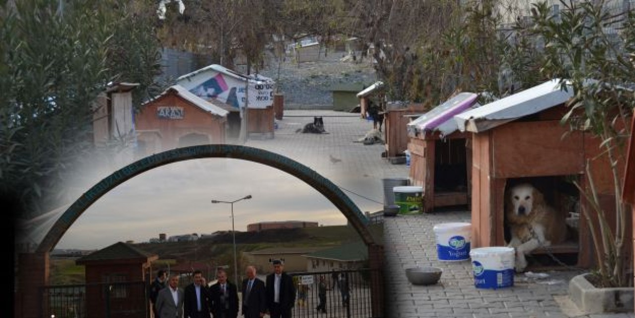 BARINAK İŞÇİLERİNİN MAAŞ ÖZLEMİ!