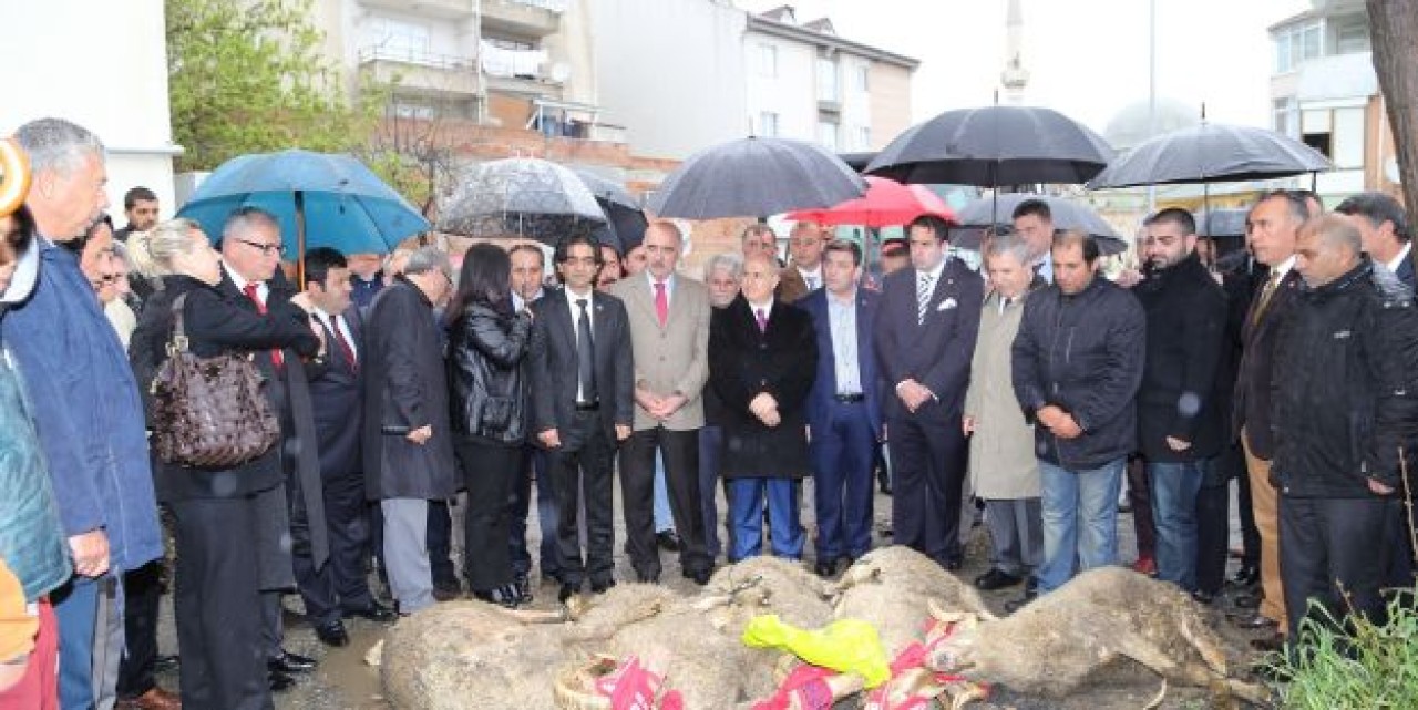 Beş yıl için beş kurban kesildi