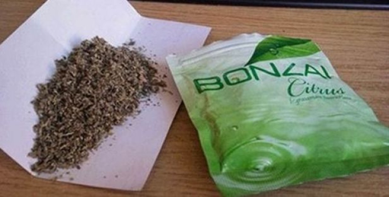 Devlet Düğmeye Bastı, Bonzaiye Büyük Takip