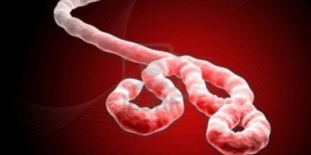 Ebola'dan Ölenlerin Sayısı Bini Aştı
