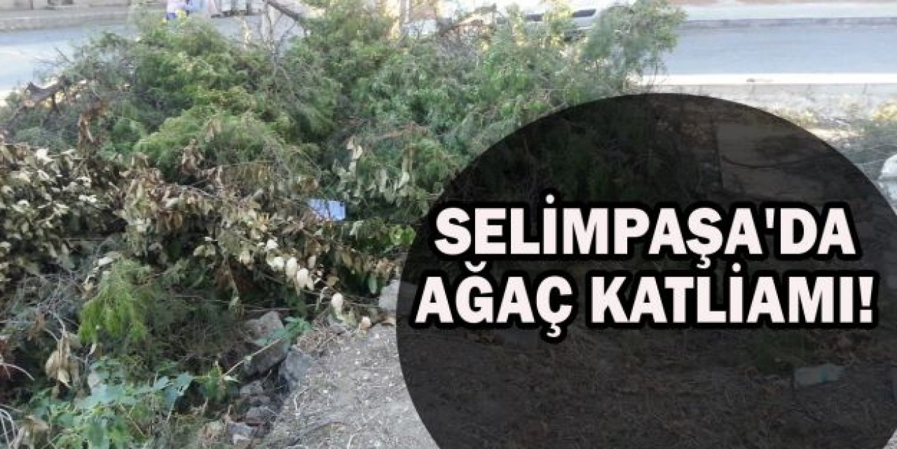 NERDESİNİZ GEZİ ZEKÂLILAR?