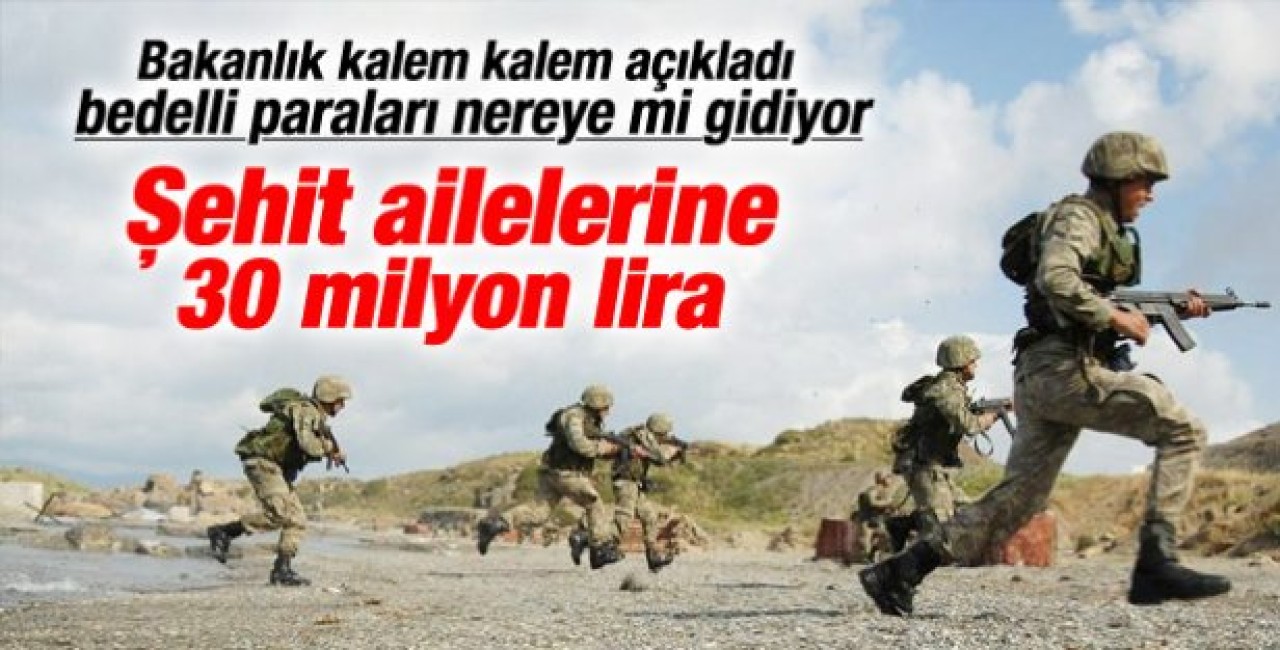 Bedelliden şehit ailelerine 30 milyon TL