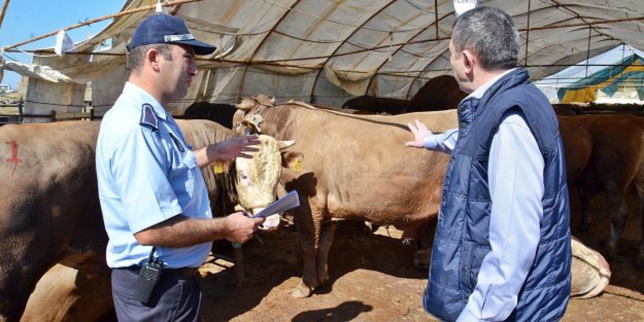 Büyükçekmece kurban satışlarını denetliyor
