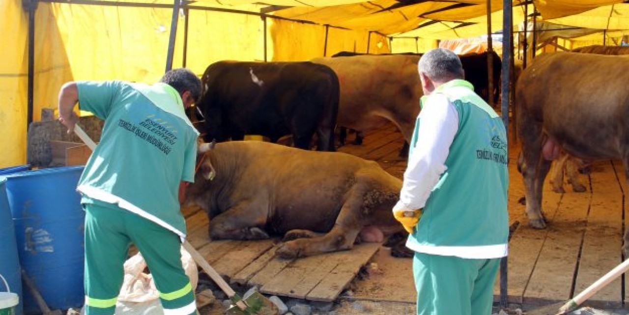 ESENYURT’TA TAM DONANIMLI KURBAN PAZARI