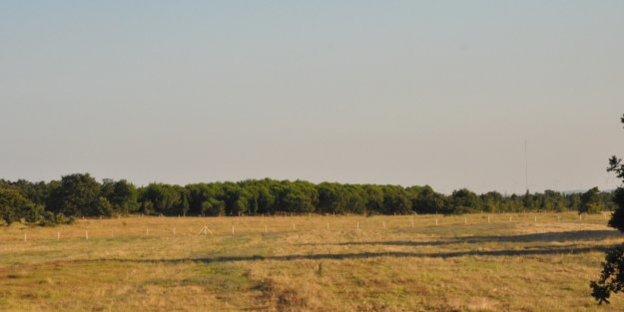 Hayırlı işler: ÇAYIRDERE
