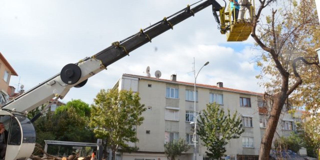 Yeşile bakım zamanı