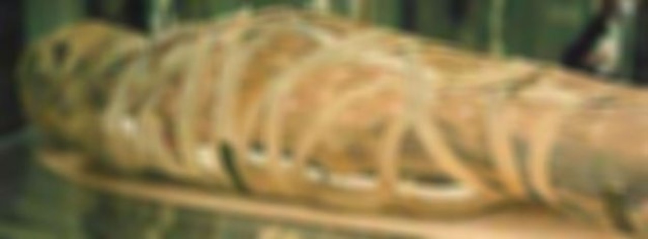 Ölü annesini beş yıl yatağında sakladı