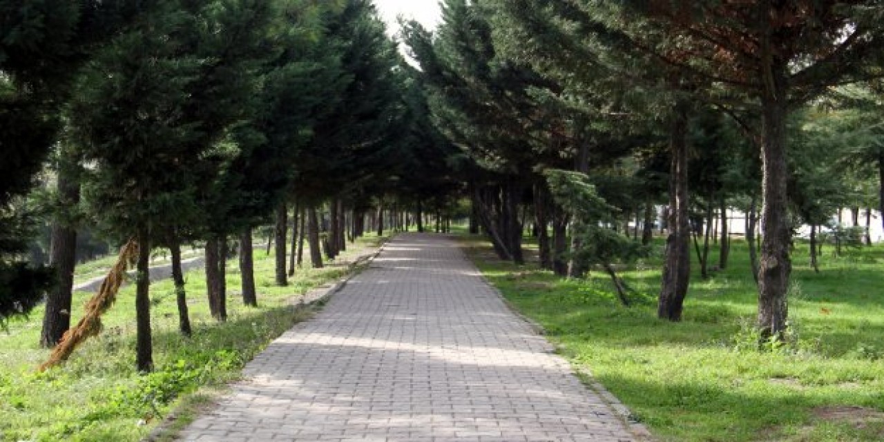 NAZIM HİKMET PARKI YENİLENİYOR