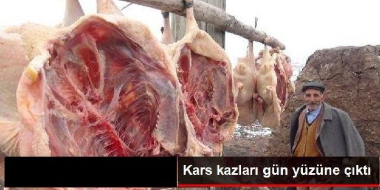 Kars'ta Kaz Kesimi Başladı
