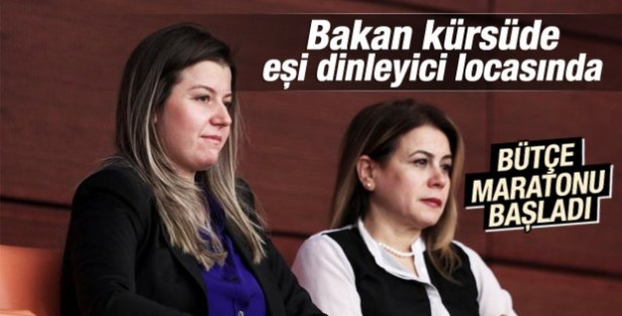 2015 Yılı Bütçesi Meclis Genel Kurulu'nda