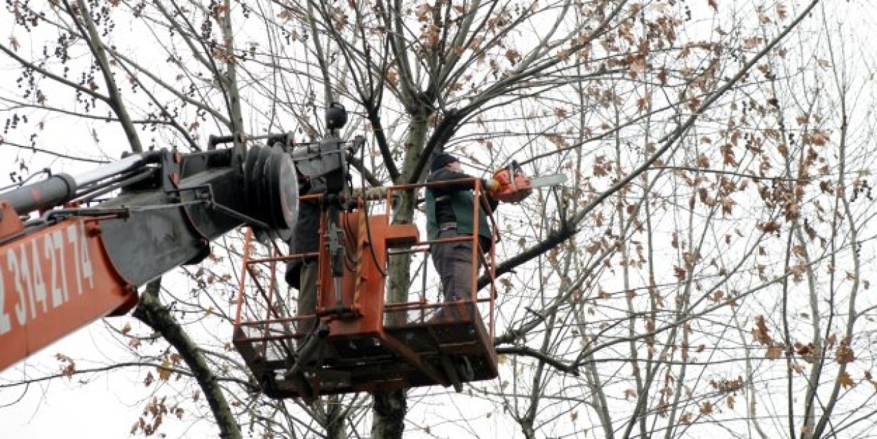 KÜÇÜKÇEKMECE’DE AĞAÇ BUDAMA ZAMANI