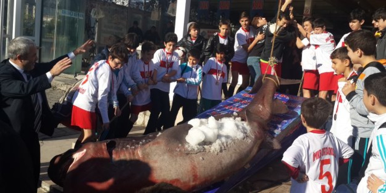 ÖĞRENCİLER KÖPEKBALIKLARINI İNCELEDİ