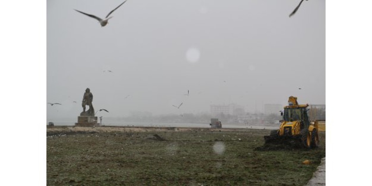 Büyükçekmece'de yosun seferberliği