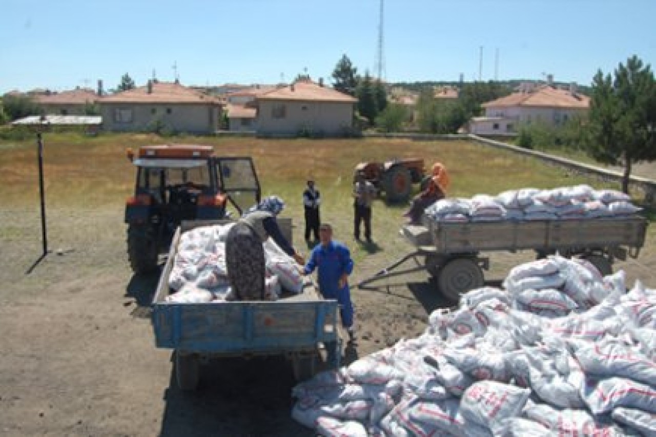 'Doğalgaz olsa doğalgaz dağıtırız'