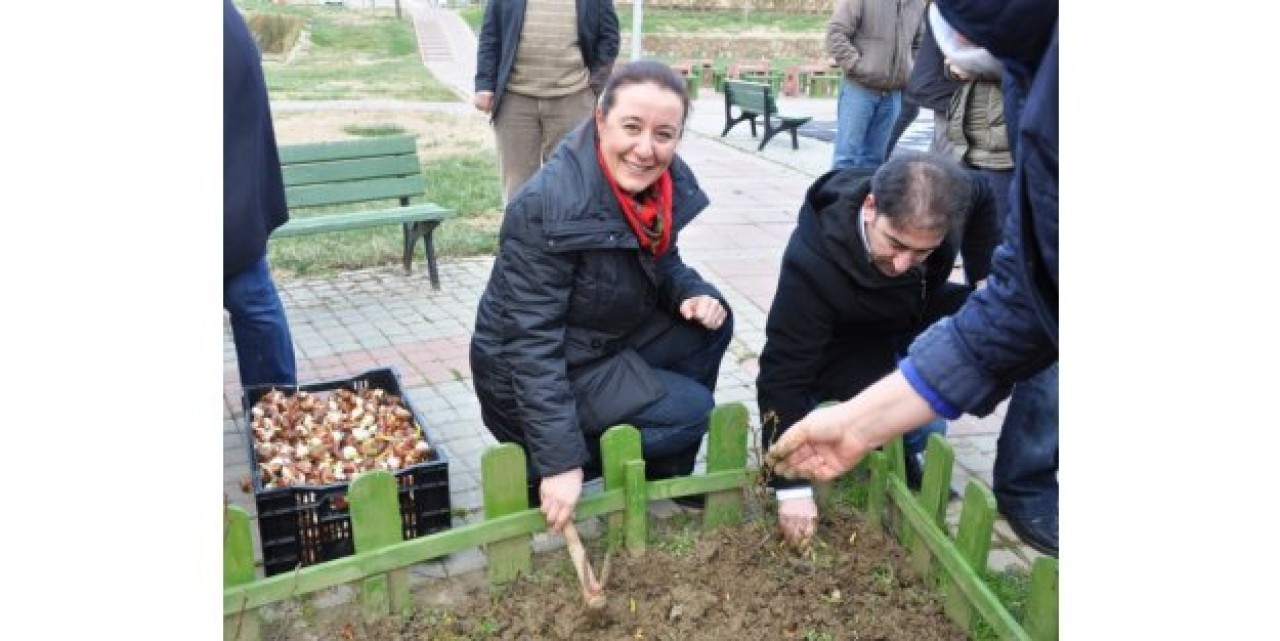 İBB SİLİVRİ’YE LALE DİKTİ!