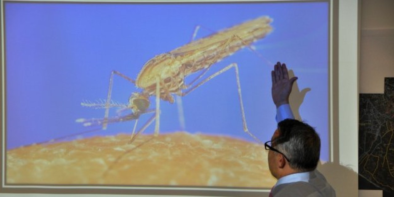 SİVRİSİNEKLERE KARŞI MÜCADELE PLANI HAZIR