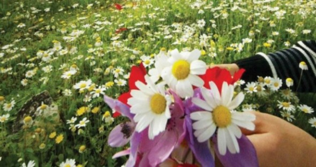 Birinci cemre düştü