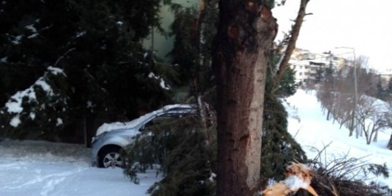 Lüks Cip Karın Devirdiği Çamın Altında Kaldı
