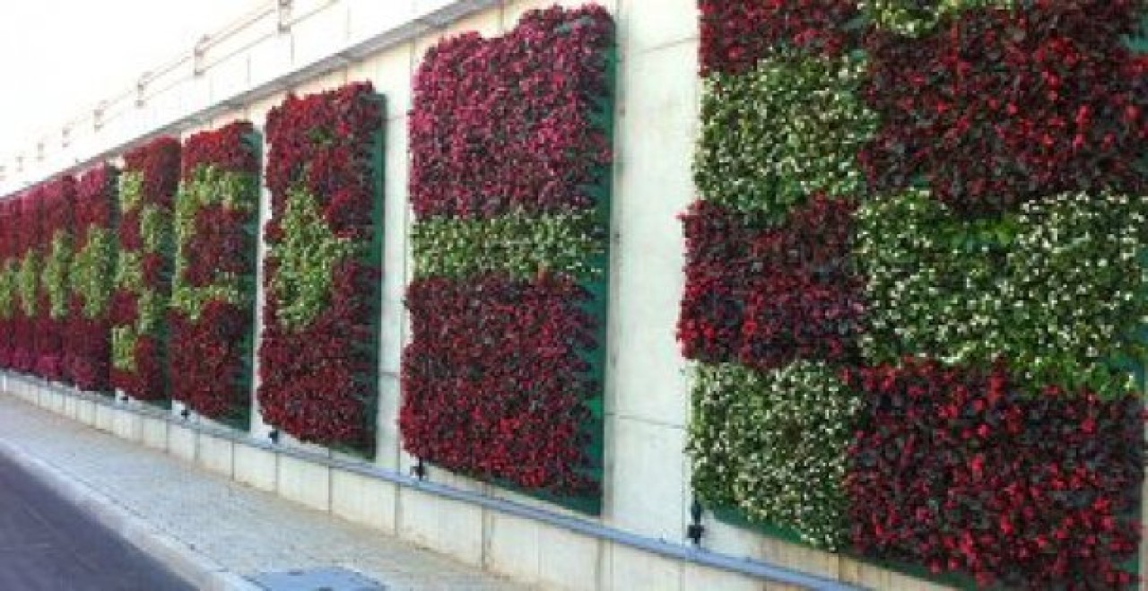 Duvarlar Çiçek Açtı, Faturası İstanbullulara Kesildi