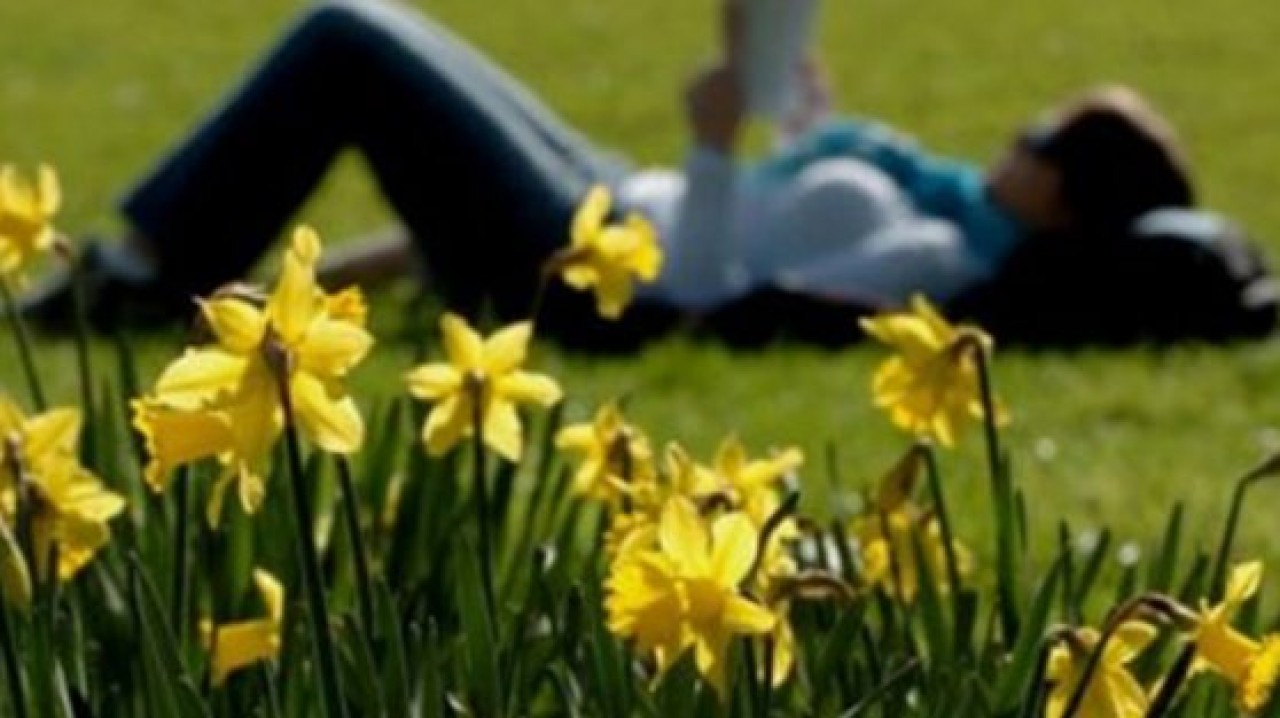 Son cemre toprağa düştü