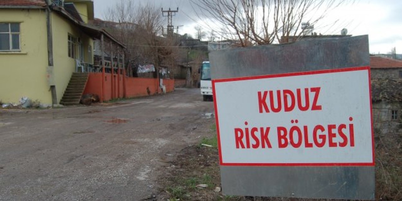 Kuduz teşhisi karantinaya aldırdı