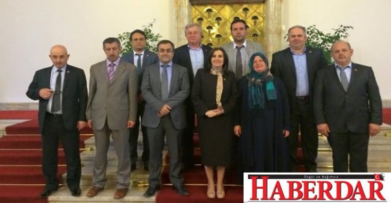 Kaynarca orman sorununa el attı