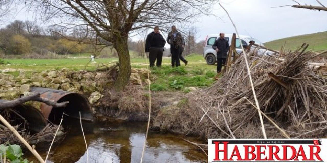 Bu ne perhiz bu ne lahana turşusu