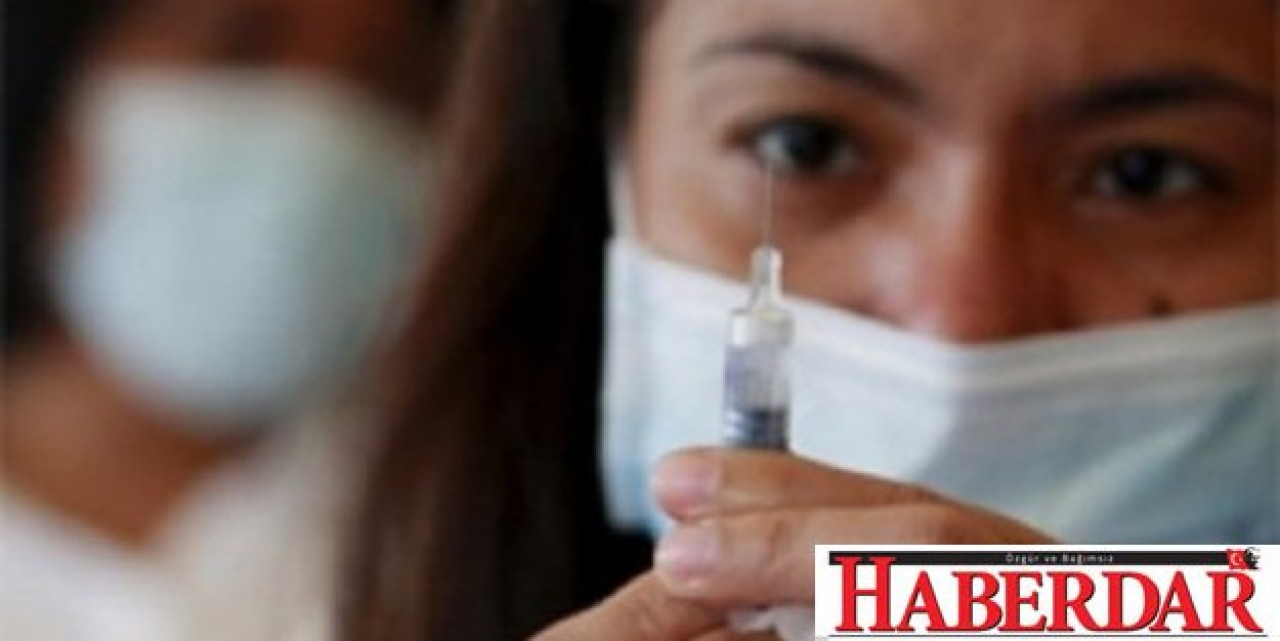 Çanakkalede 4 domuz gribi vakası