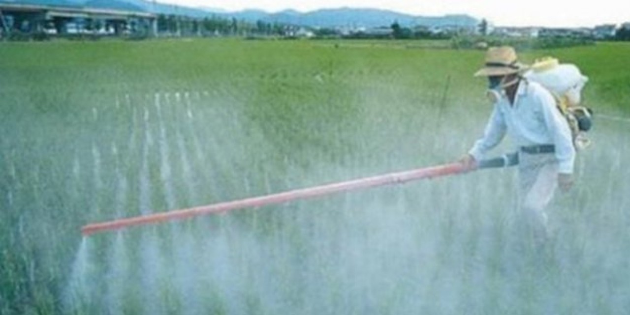 Kanser yapan ilaç Türkiyede serbest!