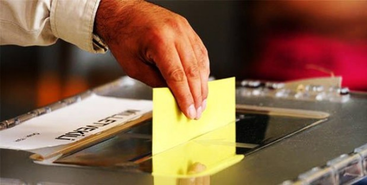 Sandıkta kedi testi