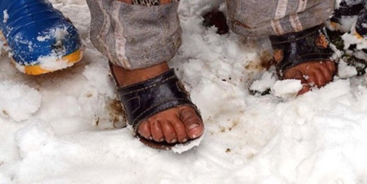 Vanda 7 kaçak donarak öldü