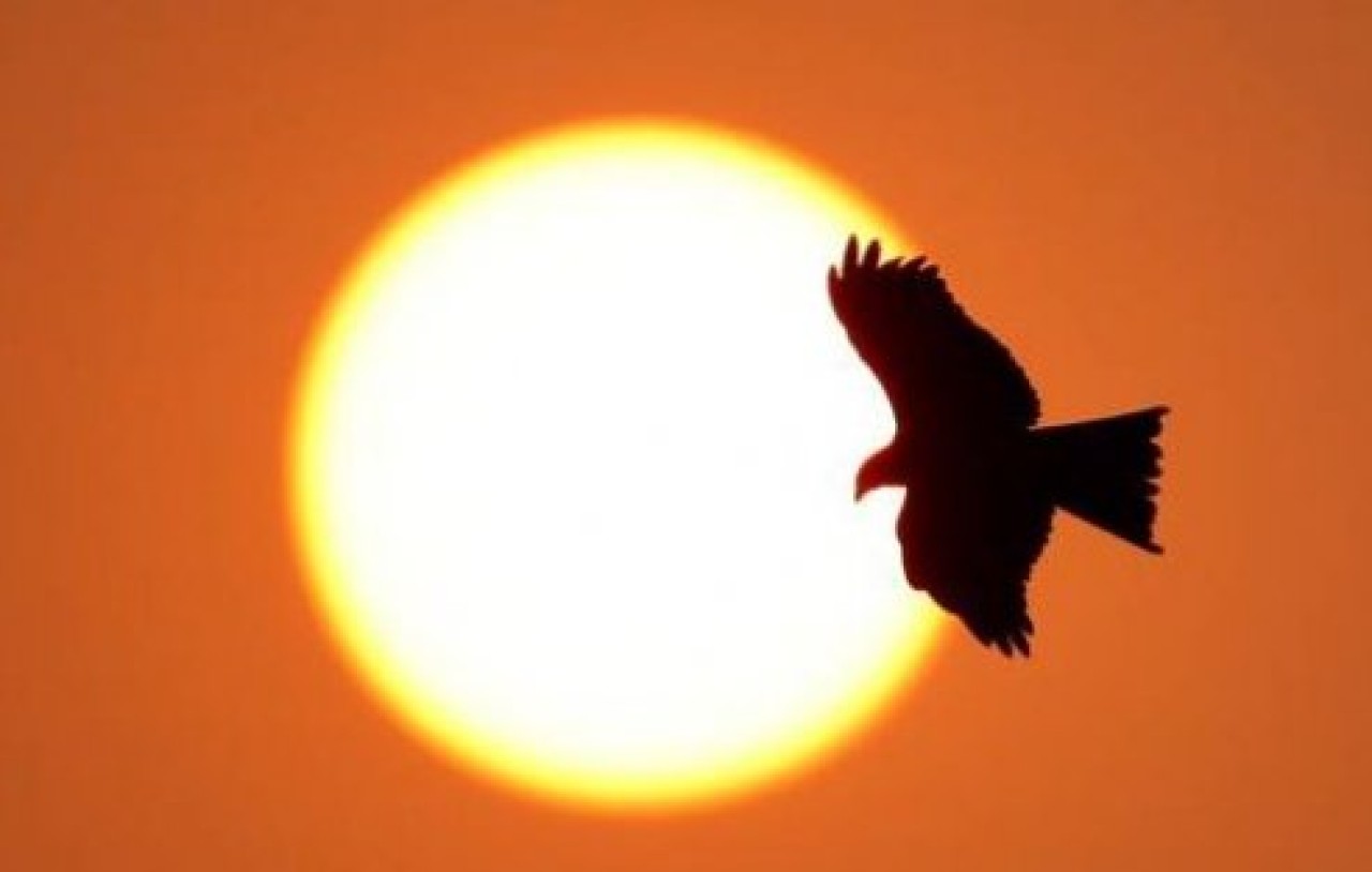 Hindistanda Sıcaklar 430 Can Aldı